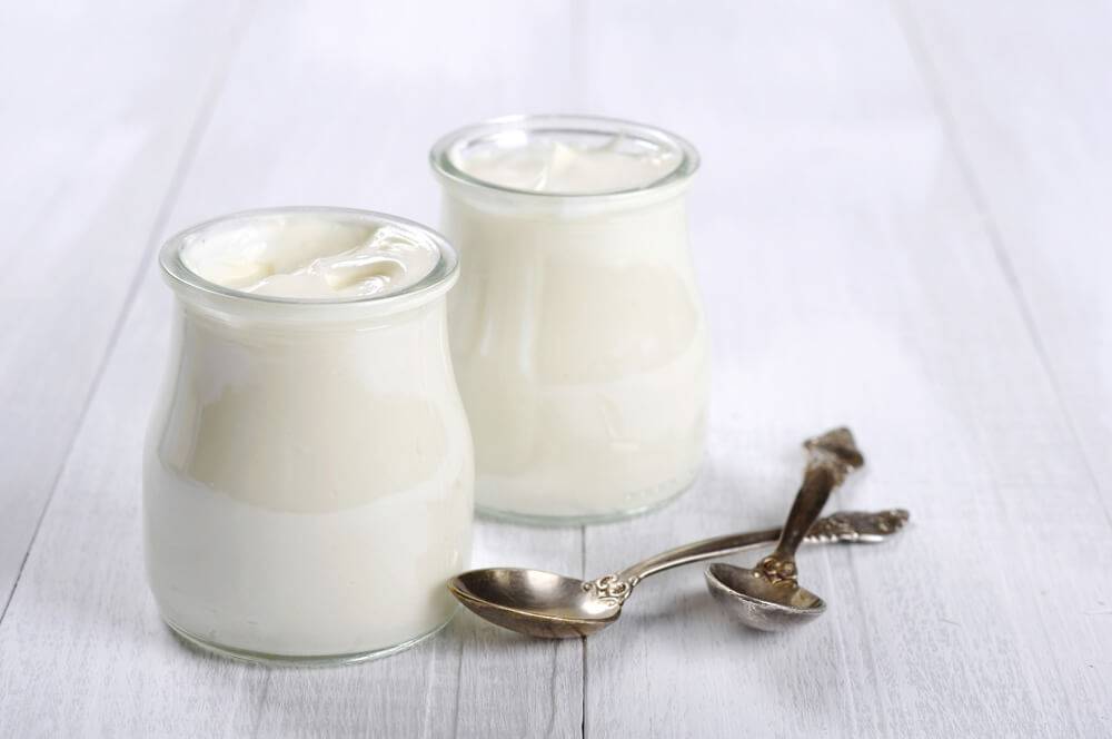 yogurt-and-milk-gcforguide-com